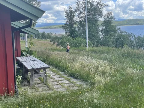 gutt går i høyt gress