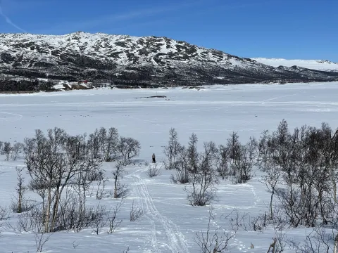 Kvamsfjellet en vinterdag